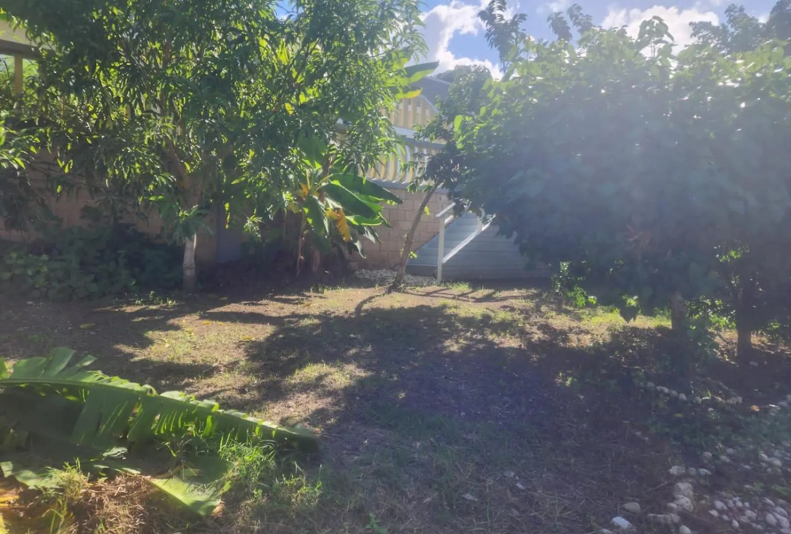 Shiloh Three Bedroom Beachfront W/Private Access Saint Annʼs Bay 0*,